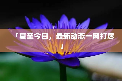 「夏至今日，最新动态一网打尽」