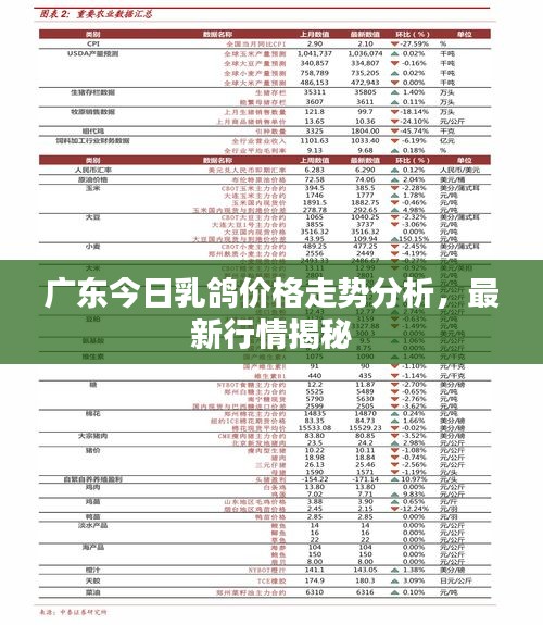 广东今日乳鸽价格走势分析，最新行情揭秘