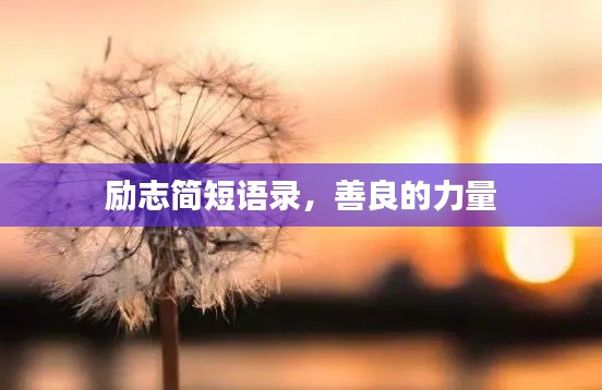 励志简短语录，善良的力量