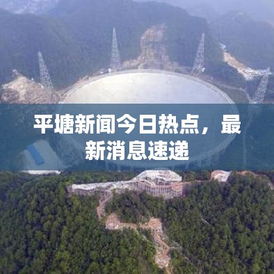 半截鸟木 第2页