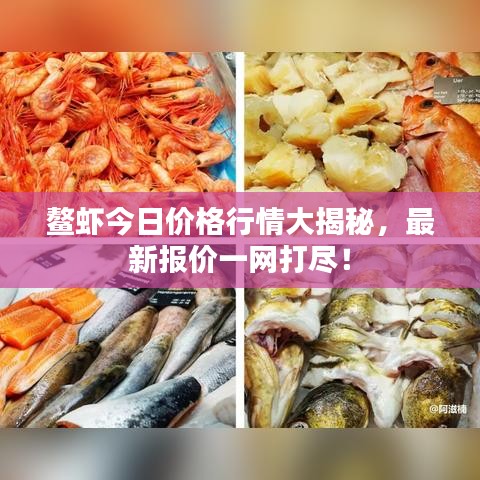 鳌虾今日价格行情大揭秘，最新报价一网打尽！