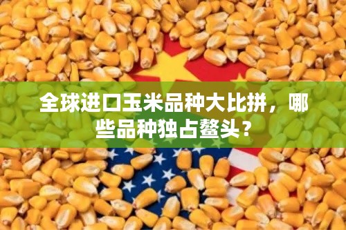 全球进口玉米品种大比拼，哪些品种独占鳌头？
