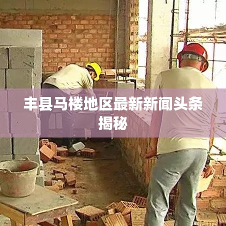 丰县马楼地区最新新闻头条揭秘