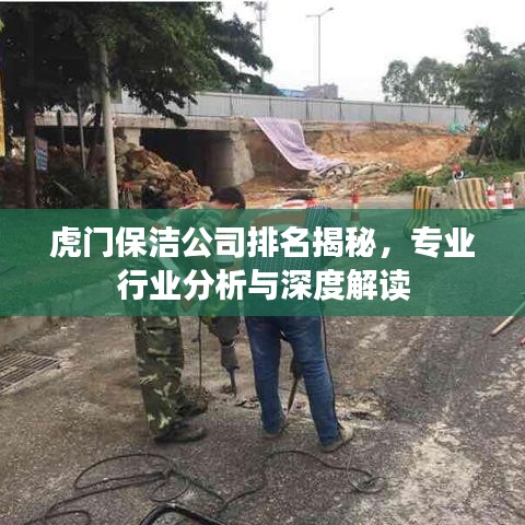 虎门保洁公司排名揭秘，专业行业分析与深度解读
