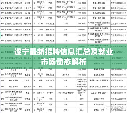 遂宁最新招聘信息汇总及就业市场动态解析