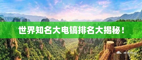 世界知名大电镐排名大揭秘！