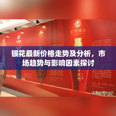 银花最新价格走势及分析，市场趋势与影响因素探讨