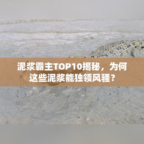 泥浆霸主TOP10揭秘，为何这些泥浆能独领风骚？