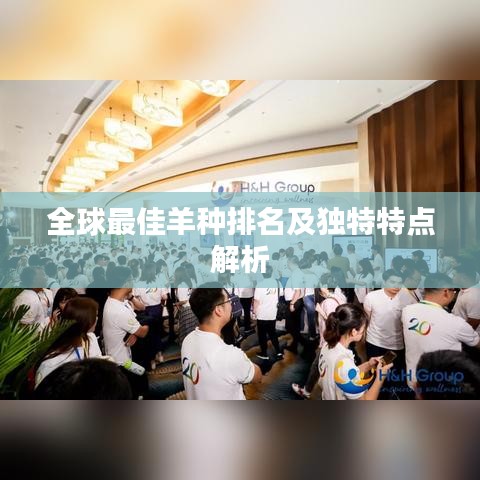 全球最佳羊种排名及独特特点解析