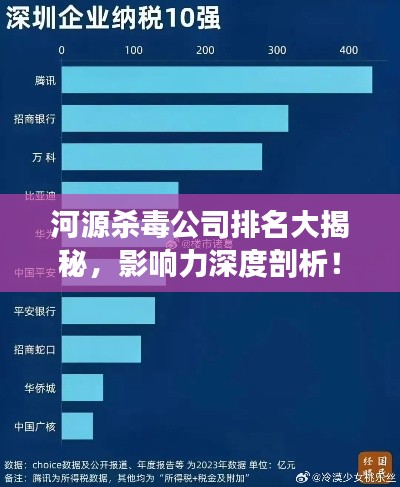 河源杀毒公司排名大揭秘，影响力深度剖析！
