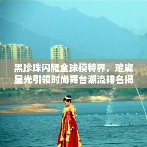 黑珍珠闪耀全球模特界，璀璨星光引领时尚舞台潮流排名揭秘