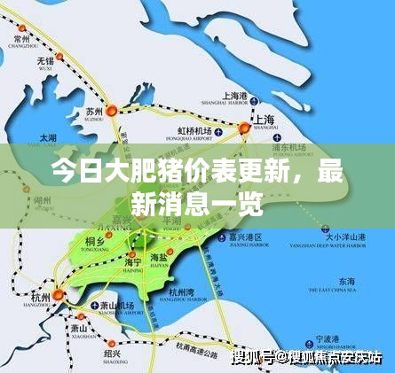 今日大肥猪价表更新，最新消息一览