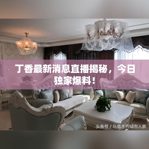 丁香最新消息直播揭秘，今日独家爆料！