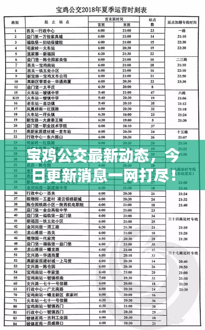 宝鸡公交最新动态，今日更新消息一网打尽！