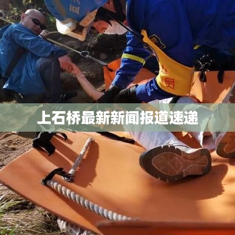 一花独放