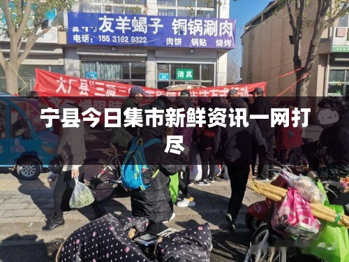 宁县今日集市新鲜资讯一网打尽