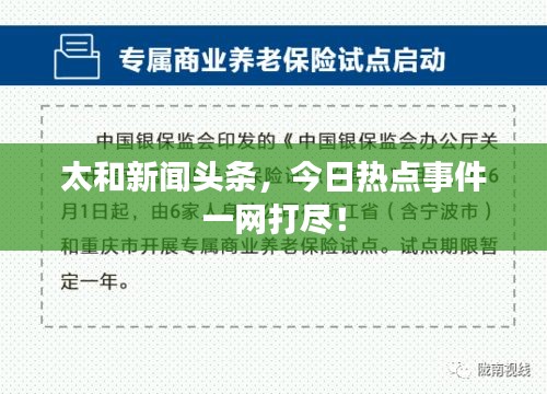 太和新闻头条，今日热点事件一网打尽！