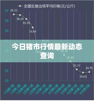 今日猪市行情最新动态查询