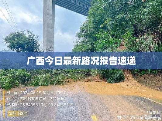 广西今日最新路况报告速递