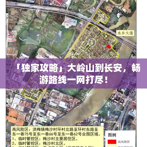 为民请命