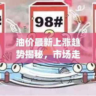 乌鸟私情