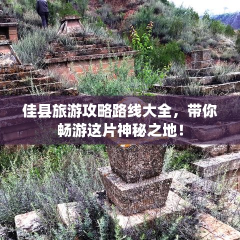 富贵逼人