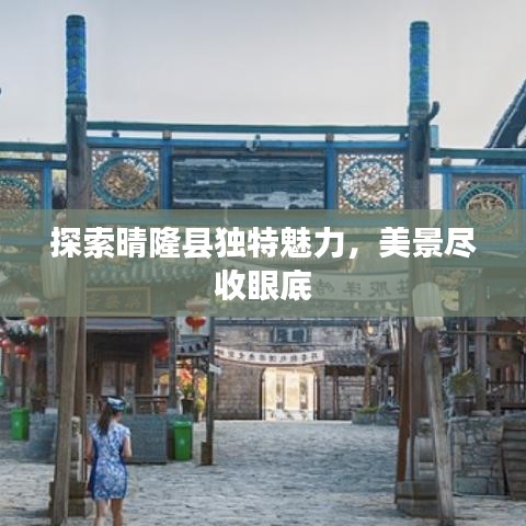 纲挈目张