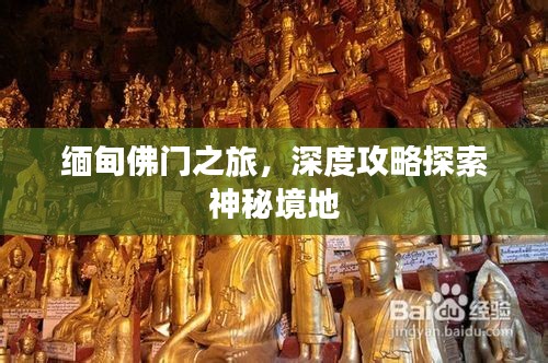 龙飞凤舞