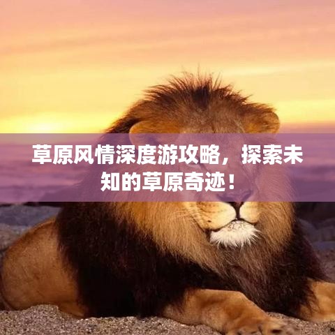 蓬荜生辉