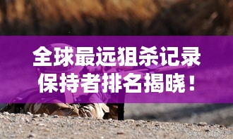 全球最远狙杀记录保持者排名揭晓！