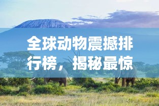 全球动物震撼排行榜，揭秘最惊艳动物界的王者地位！