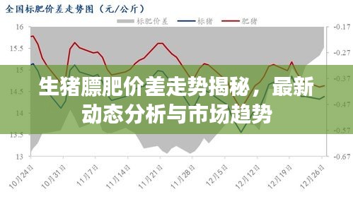 2025年5月3日