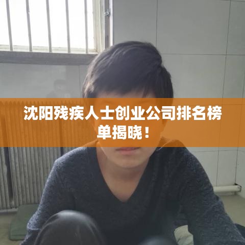 沈阳残疾人士创业公司排名榜单揭晓！