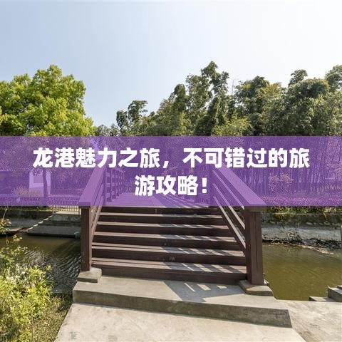 龙港魅力之旅，不可错过的旅游攻略！