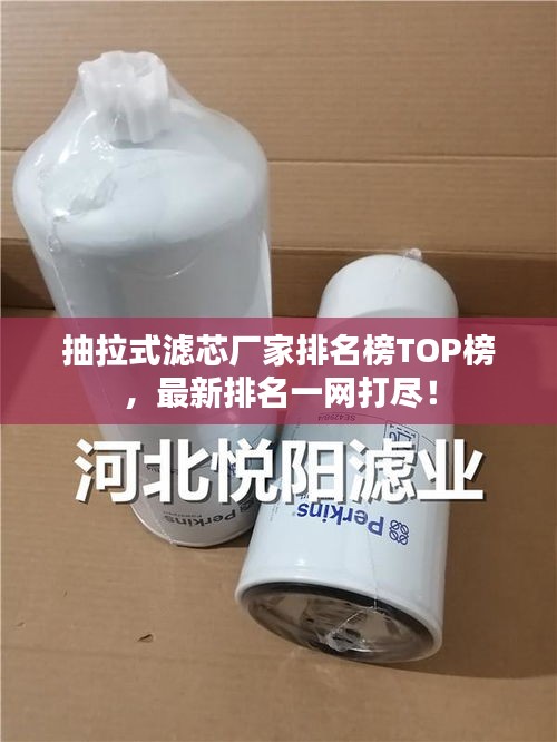 抽拉式滤芯厂家排名榜TOP榜，最新排名一网打尽！