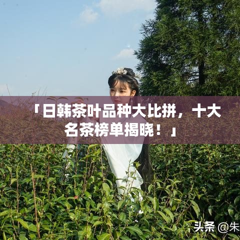 「日韩茶叶品种大比拼，十大名茶榜单揭晓！」