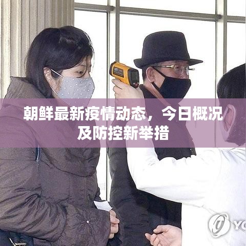 朝鲜最新疫情动态，今日概况及防控新举措