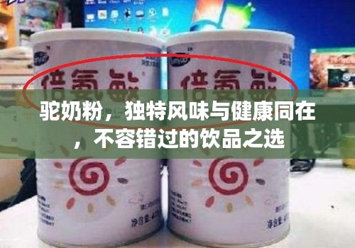 驼奶粉，独特风味与健康同在，不容错过的饮品之选