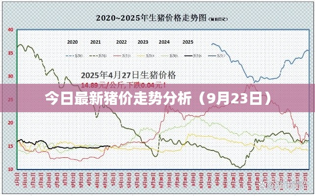 今日最新猪价走势分析（9月23日）
