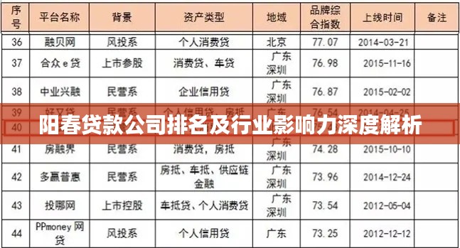 阳春贷款公司排名及行业影响力深度解析
