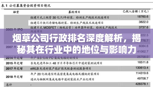 烟草公司行政排名深度解析，揭秘其在行业中的地位与影响力