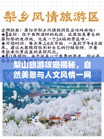 梨山旅游攻略揭秘，自然美景与人文风情一网打尽！