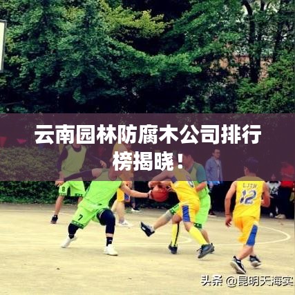 云南园林防腐木公司排行榜揭晓！