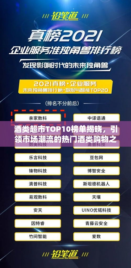 酒类超市TOP10榜单揭晓，引领市场潮流的热门酒类购物之选
