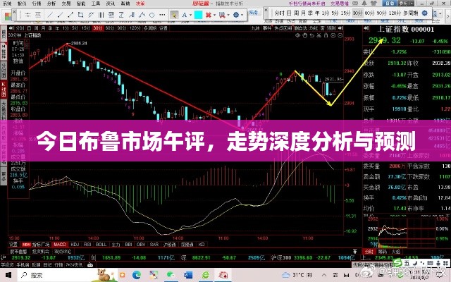 今日布鲁市场午评，走势深度分析与预测