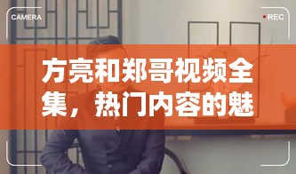 方亮和郑哥视频全集，热门内容的魅力与来源大揭秘