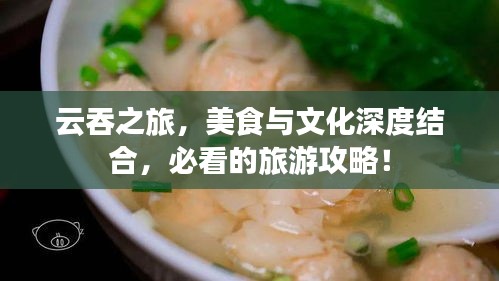 云吞之旅，美食与文化深度结合，必看的旅游攻略！
