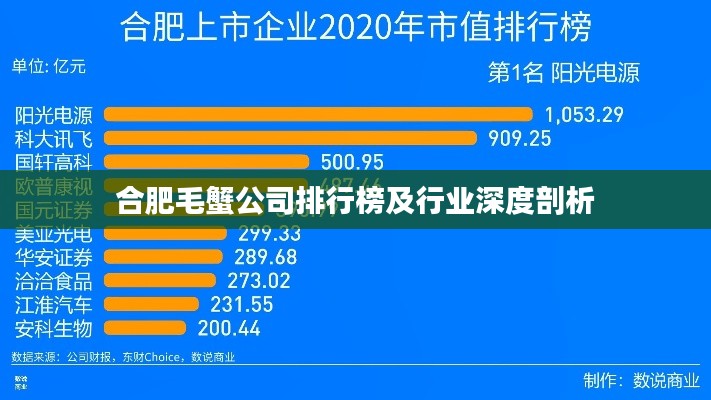合肥毛蟹公司排行榜及行业深度剖析