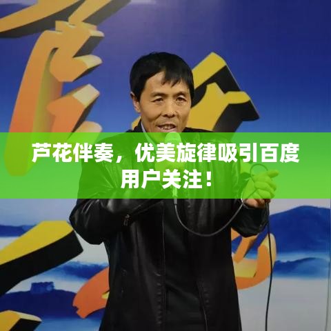 芦花伴奏，优美旋律吸引百度用户关注！