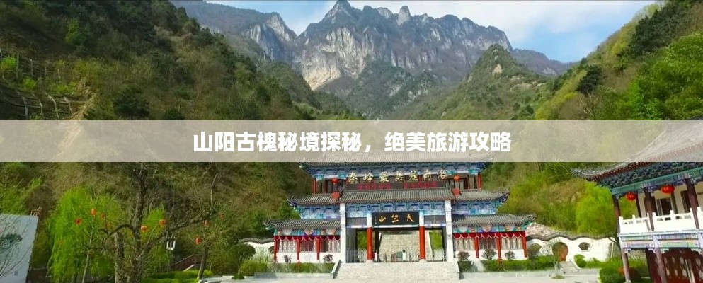 山阳古槐秘境探秘，绝美旅游攻略